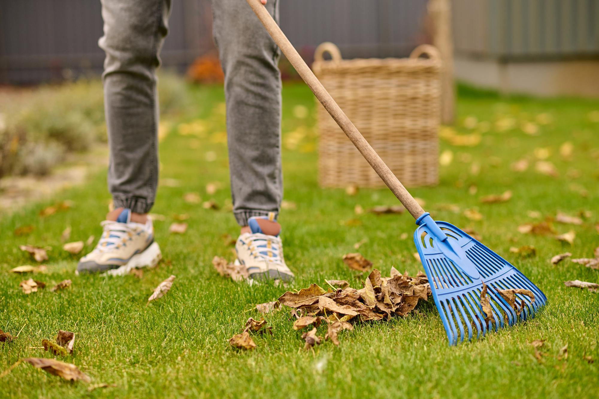 How Often Should You Mow Your Lawn in Ontario? A Seasonal Guide